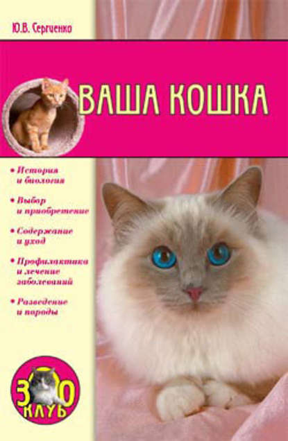 Ваша кошка - Юлия Сергеенко