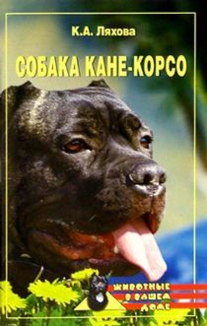 Собака Кане-Корсо — Кристина Ляхова