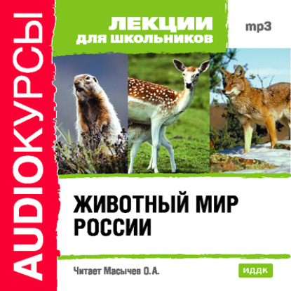 Животный мир России — Коллектив авторов