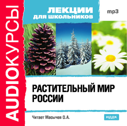 Растительный мир России — Коллектив авторов