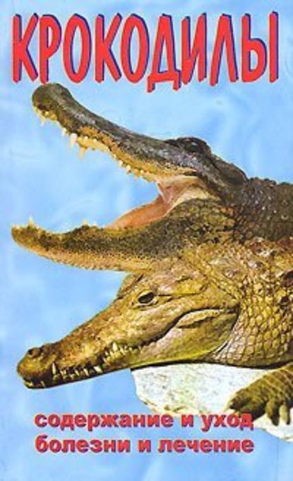 Крокодилы — Алексей Филипьечев