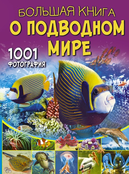 Большая книга о подводном мире. 1001 фотография — В. В. Ликсо