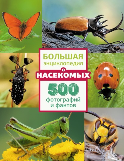 Большая энциклопедия о насекомых. 500 фотографий и фактов — А. А. Спектор
