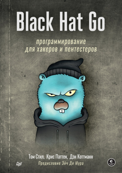 Black Hat Go. Программирование для хакеров и пентестеров (+ epub) — Том Стил