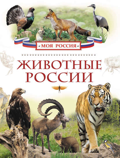 Животные России — Ирина Травина