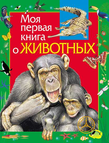 Моя первая книга о животных — Алексей Никишин