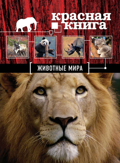Красная книга. Животные мира - Оксана Скалдина