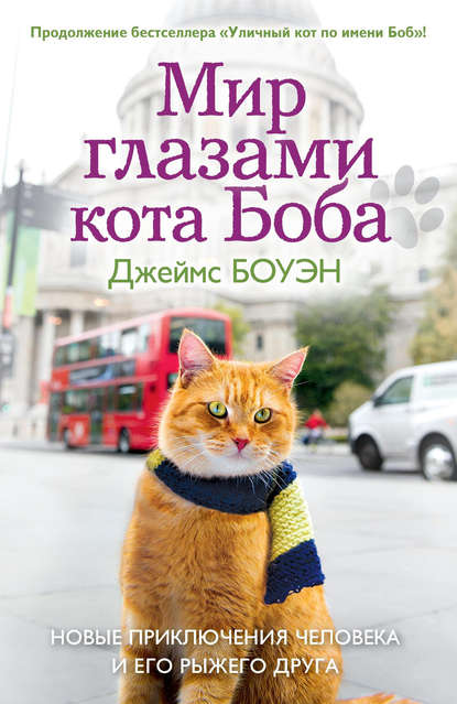Мир глазами кота Боба. Новые приключения человека и его рыжего друга — Джеймс Боуэн