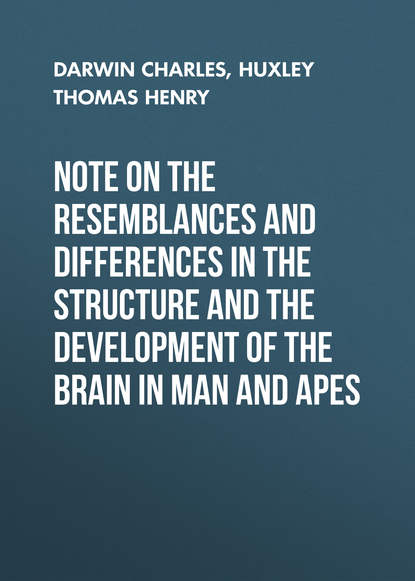 Note on the Resemblances and Differences in the Structure and the Development of the Brain in Man and Apes — Чарльз Дарвин