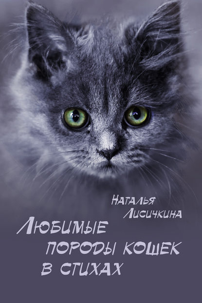 Любимые породы кошек в стихах — Наталья Лисичкина