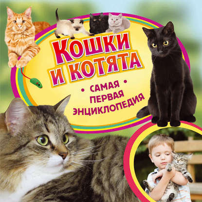 Кошки и котята — Ирина Травина