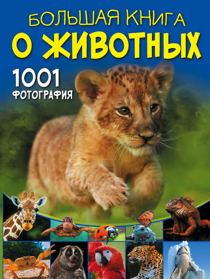 Большая книга о животных. 1001 фотография — Д. И. Ермакович